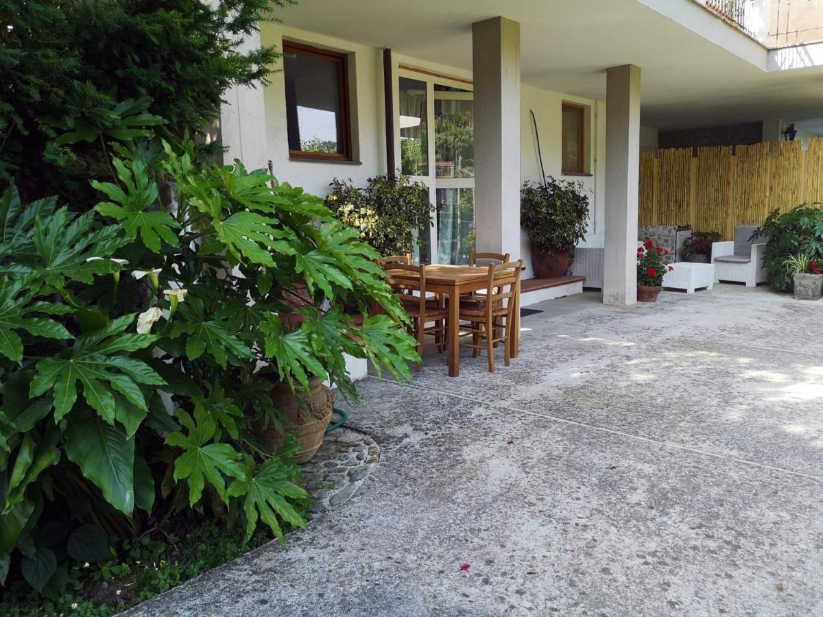 Parte Di Casa Con Giardino E Piscina Villa Pietrasanta Luaran gambar